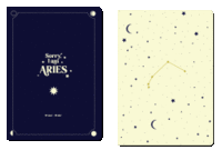 Pack 2 cuadernos grapados a6 horoscopo negro - aries
