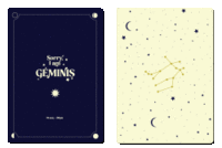 Pack 2 cuadernos grapados a6 horoscopo negro - geminis