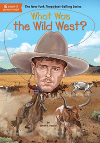 What was the wild west