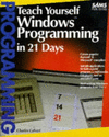 Teach yourself windows program.