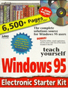 T y windows 95 electronic starter kit