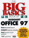 Big basics book ms office