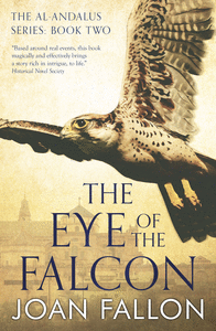 The eye of the falcon
