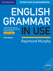 English grammar in use without answers 5th edition