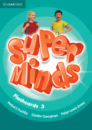 Super minds level 3 flashcards (pack of 83)