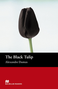 The black tulip mr (b)