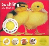 Touch, Feel & Listen-Duckly and Friends
