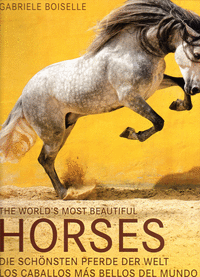 Horses- los caballos mas bellos del mundo- konemann