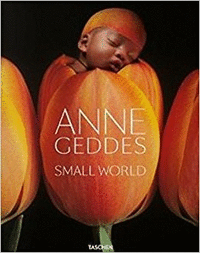 Geddes small world (al/fr/in)