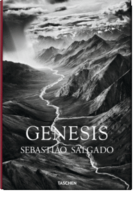 Genesis (in)