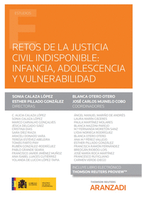 Retos de la justicia civil indisponible: infancia, adolescencia y vulnerabilidad (Papel e-book)