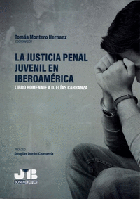 Justicia penal juvenil en iberoamerica libro homenaje elias