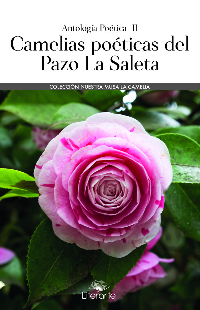 Camelias poeticas del pazo la saleta - LeoVeo