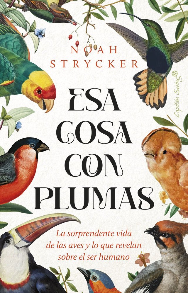 Esa cosa con plumas Librería Calamo
