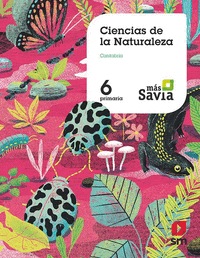 Ciencias de la naturaleza. 6 Primaria. Más Savia. Cantabria