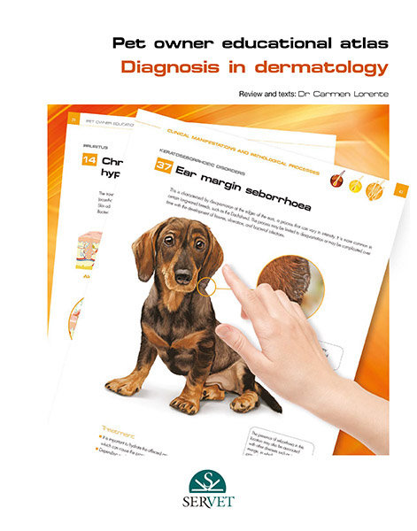 Diagnosis in dermatology. pet owner educational atlas
