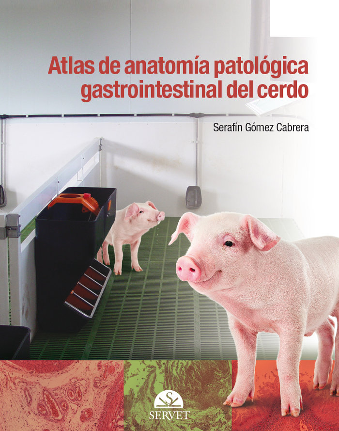 Atlas de anatomia patologica gastrointestinal del cerdo