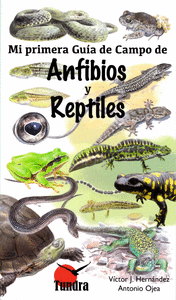 Mi primera guia de campo de anfibios y reptiles