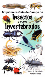 Mi primera guia de campo de insectos y otros invertebrados