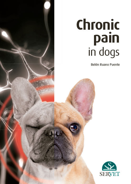 Chronic pain in dogs