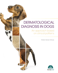 Dermatologic diagnosis in the dog. An approach based on skin patterns