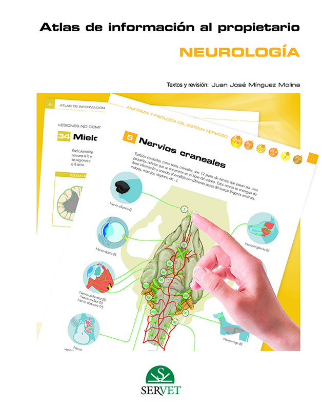 Atlas de información al propietario. Neurología