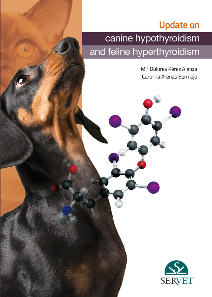 Update about canine hypothyroidism and feline hyperthyroidis