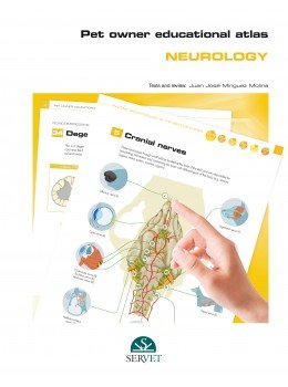 Pet owner educational atlas. Neurology