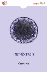 Metaextasis