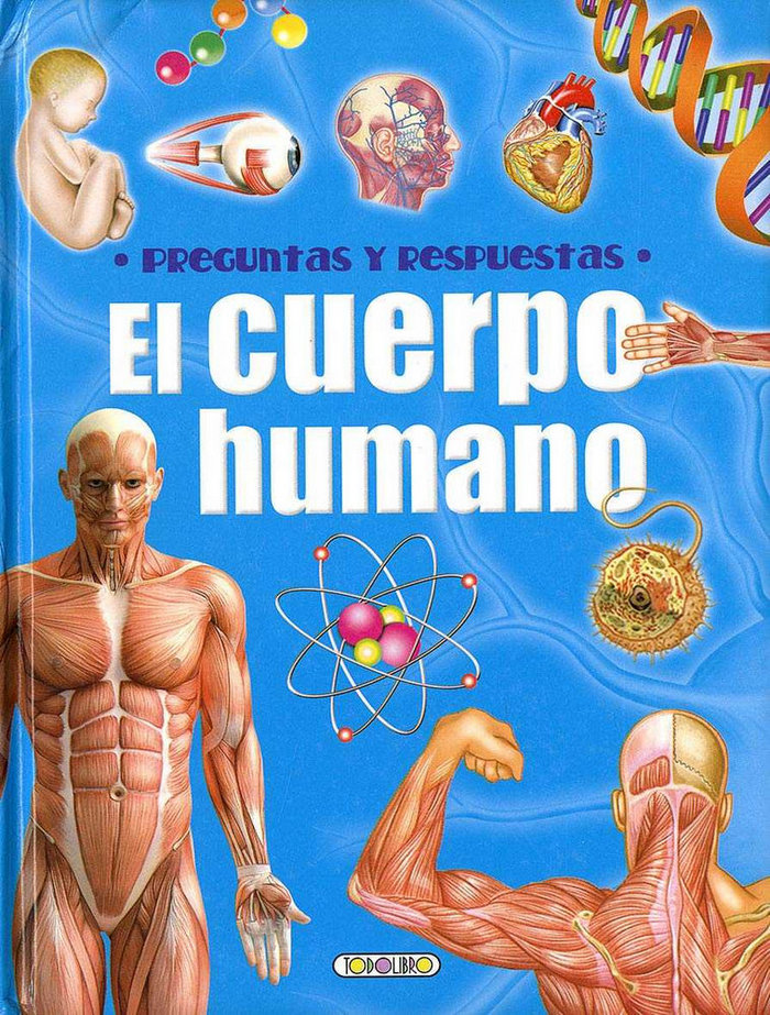 Preguntas y respuestas el cuerpo humano
