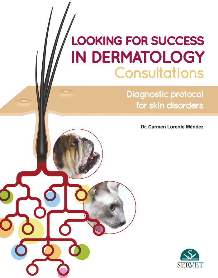 Looking for success in dermatology consultations. diagnostic