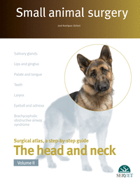 Small animal surgery the head and neck v