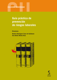 Guía práctica de prevención de riesgos laborales