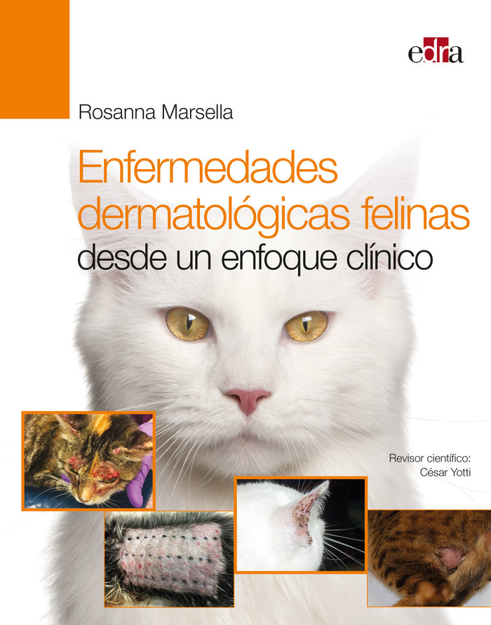 Enfermedades dermatologicas felinas desde un enfoque clinico