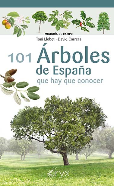 101 arboles de españa que hay de conocer - LeoVeo