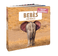 Bebes animals