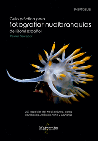 Guía práctica para fotografiar nudibranquios del litoral español