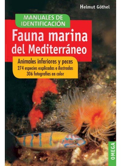 Fauna marina del mediterraneo
