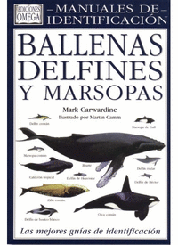 Ballenas delfines y marsopas.man.ident.