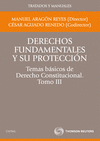 Derechos fundamentales y su protección. Temas básicos de Derecho Constitucional. Tomo III