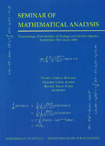 Seminar of mathematical analysis (2003-2004)