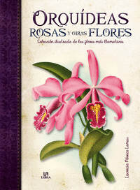 Orquideas rosas y otras flores o.varias