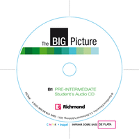 Big picture 2 workbook pre-intermediate [b1]