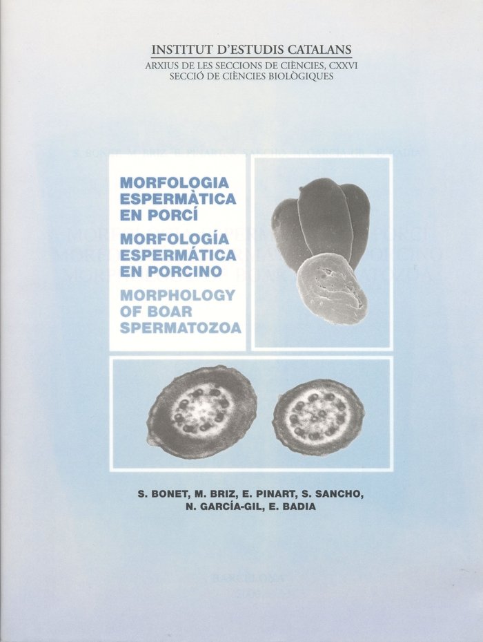 Morfologia Espermàtica En Porci Morfología Espermática En Porcino Morphology Of Boar 8095