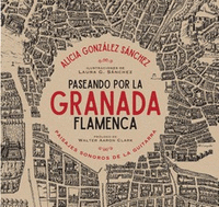 Paseando por la Granada flamenca