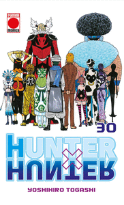 Hunter x hunter 30