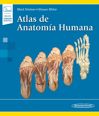 NIELSEN:Atlas de AnatomÆa Humana+e
