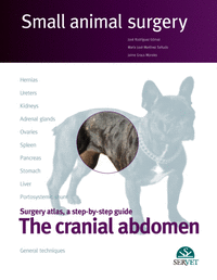 The cranial abdomen. Small animal surgery