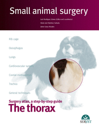 The thorax. Small animal surgery