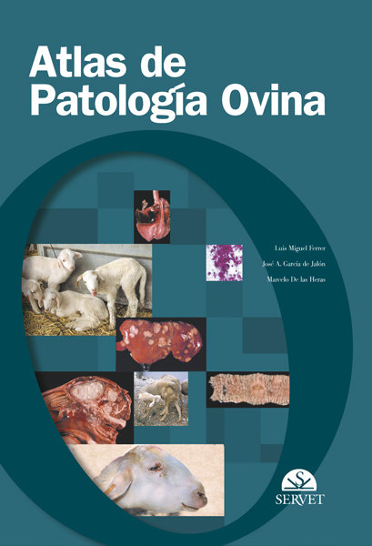 Atlas de patologia ovina 2º